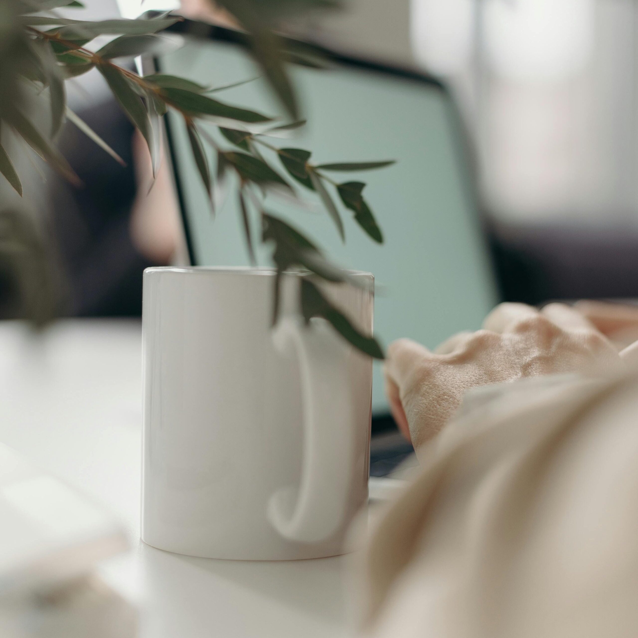 A calm home office scene with a white ceramic mug, computer laptop, and green leaves.